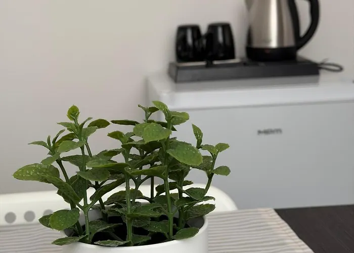 Izba Pod Sniezka 酒店 卡尔帕奇